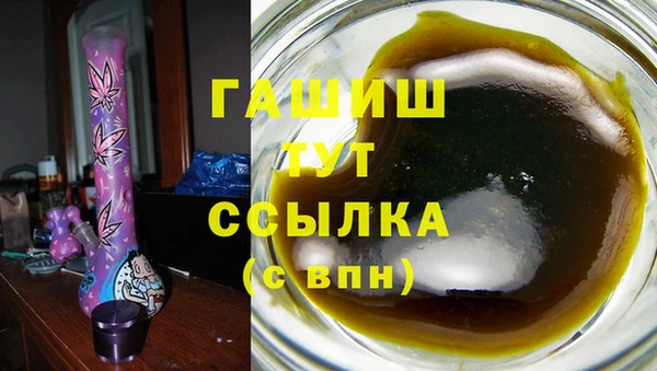 дмт Богданович